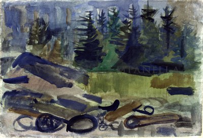 186 Forest scene-Monhegan.jpg